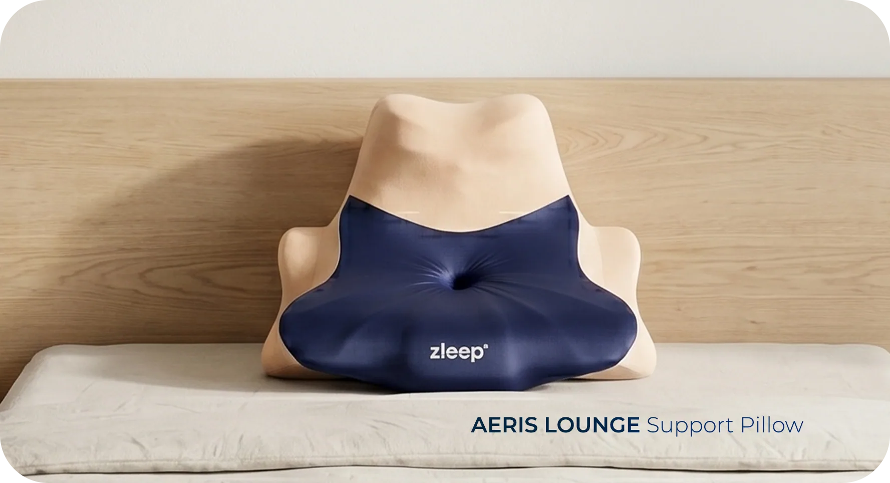 Aeris Lounge Pillow showcase