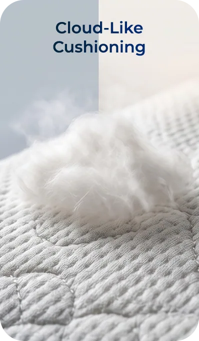 Cloud-Like Cushioning