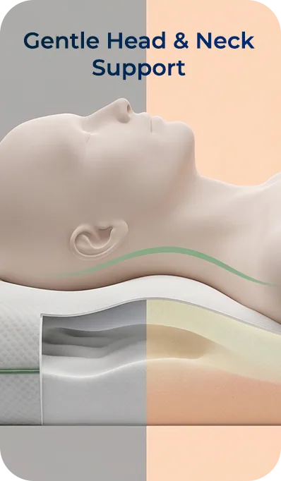 Gentle Head & Neck Support